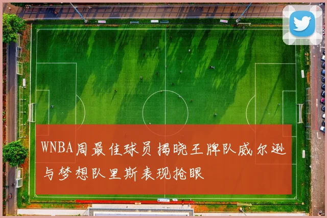 WNBA周最佳球员揭晓王牌队威尔逊与梦想队里斯表现抢眼